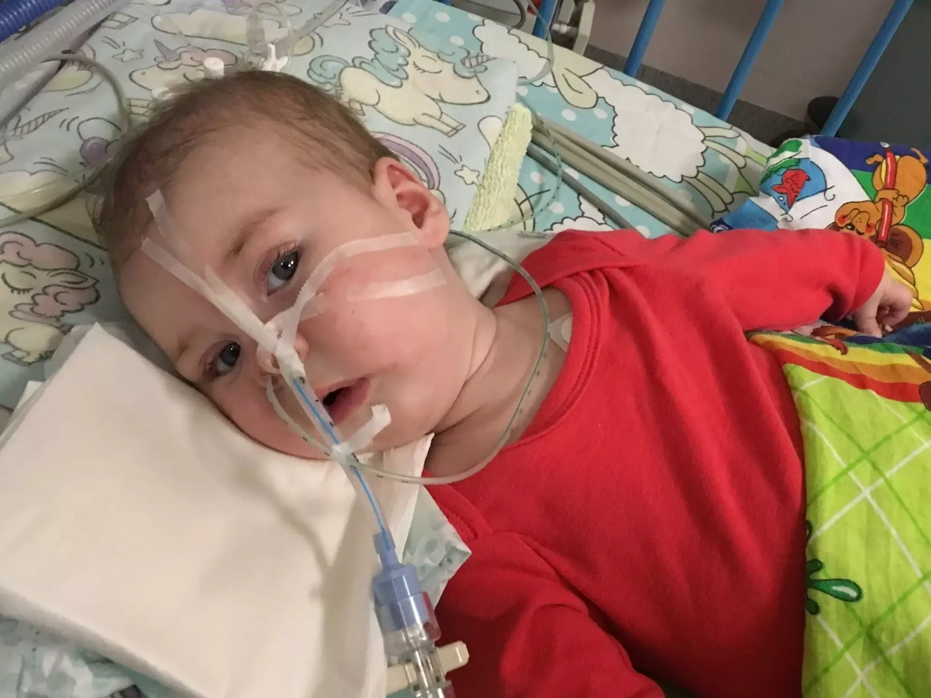 Егоров Никита - фото 1