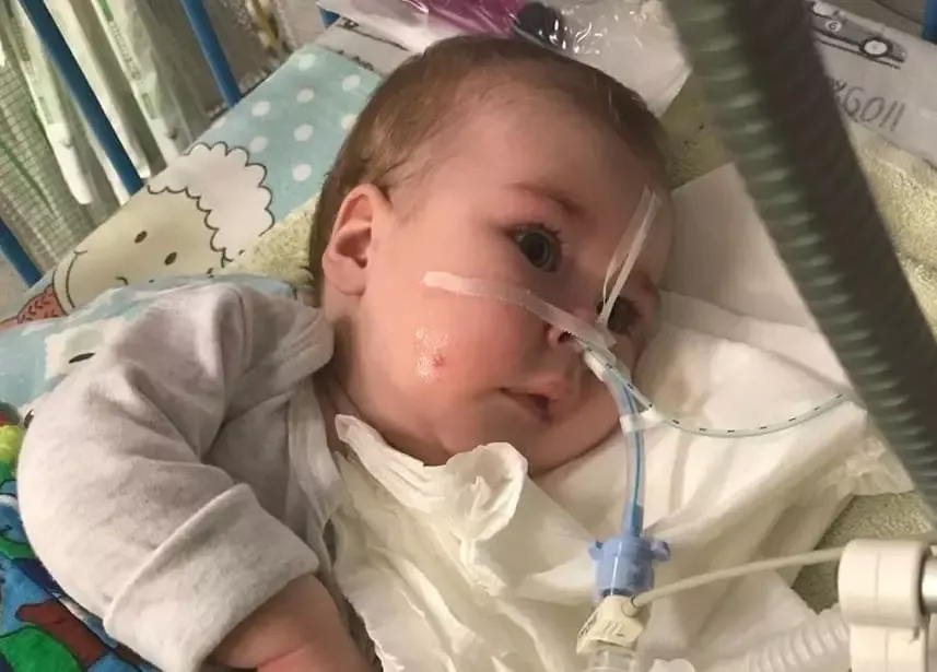 Егоров Никита - фото 2